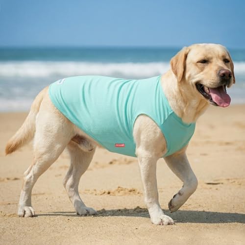 KYEESE 2Pack Dog Shirt for Large Dogs Soft Breathable T-Shirts, Duck+Blue