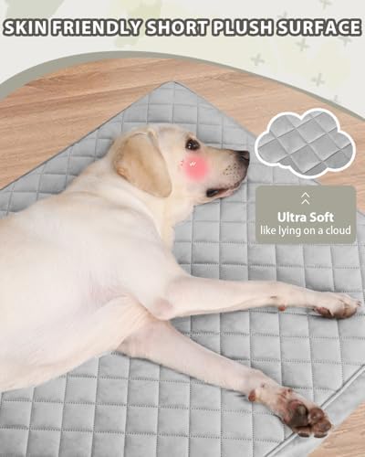 NUPIDA Orthopedic Small Dog Bed for Crate with Washable Cover, 23x17, Grey
