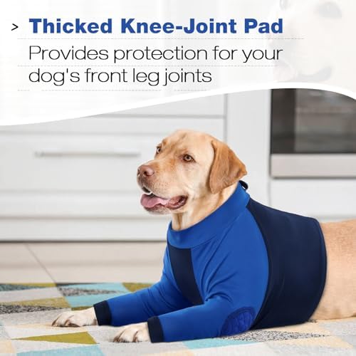 Lelepet Dog Recovery Suit for Front Legs, Dog Sleeve to Stop Licking Blue