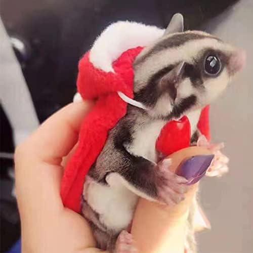 Guinea Pig Costume Christmas Hamster Outfit Warm Kitten Cape Red Ferret Cloak Santa Claus Small Pet Clothes for Hedgehog Squirrel Chinchilla Rats Gerbil Sugar Glider(X-S)…