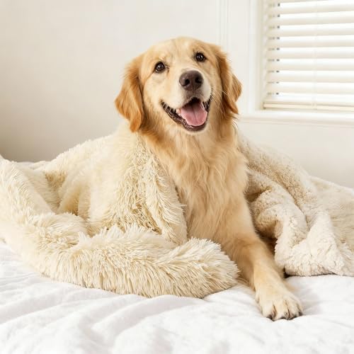 gogobunny Waterproof Dog Blanket for Couch & Furniture Protection - Super Soft Reversible Throw for Large Dogs & Cats, Calming Washable Fur & Sherpa Pet Blanket (60x80 Inch, Beige)