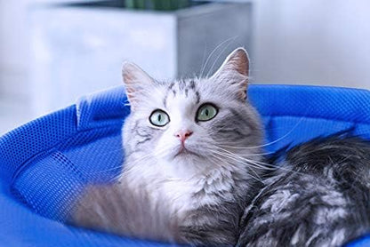 MeowWoof Cat Hammock Bed, Elevated Cat Stand, Washable Pet Sleep Supplies for Kitten Puppy (Blue Black)