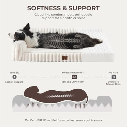 Orthopedic Dog Bed Medium 30x20x8.5” Washable Cover Cream