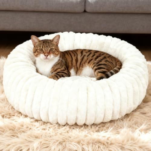 Washable Small Cat Dog Bed,Puppy Bed Cat Beds for Indoor Cats(White, S)