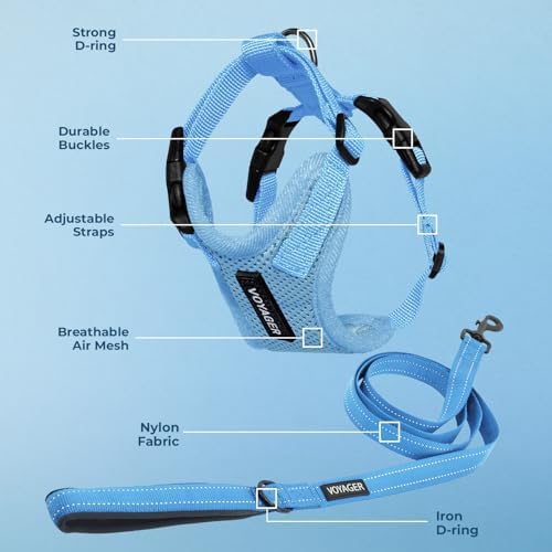 Best Pet Supplies Voyager Step-in Lock Pet Harness w Reflective Pet Leash Combo Set with Neoprene Handle 5ft - Supports Small, Medium and Large Breed Puppies/Cats - Baby Blue, S