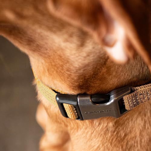Carhartt Dog Collar Coral Glow L