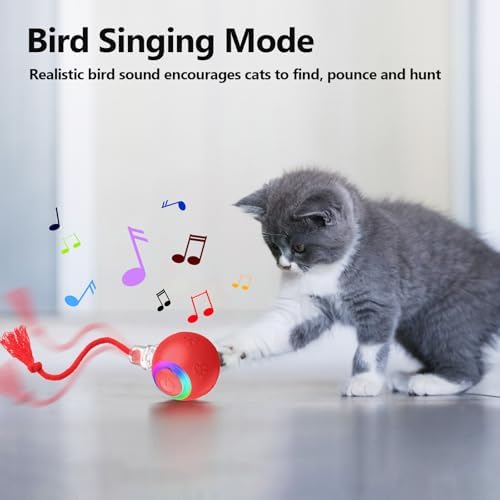 Smart Cat Ball Toy, Interactive & Rechargeable for Daily Play