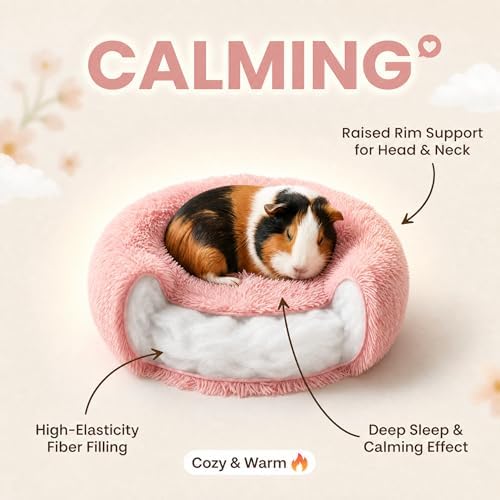 Guinea Pig Bed for Small Animal for Dwarf Rabbits/Hamster/Hedgehog/Ferrets