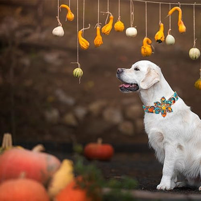 Elegant little tail Fall Dog Collar, Halloween Pet Collars with Flower Cute Pumpkin Print Puppy Collar Female or Male Cotton Adjustable Collars for Small Medium Large Dogs