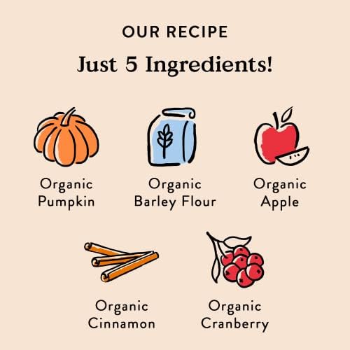 Bocce's Bakery Natural, Small Batch, Organic Dog Treats, Pumpk'n Harvest Biscuits, Wheat-Free, Limited-Ingredient, Made in The USA with 100% Recyclable Packaging, 12 oz Bag