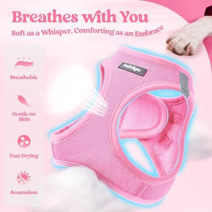 rabbitgoo Dog Harness Medium Sized and Leash Set, Step-in Puppy Pet Vest