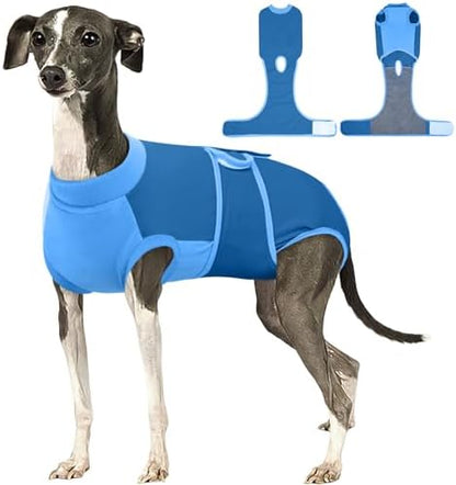 Kuoser Dog Recovery Suit, Female Male Spay Neuter Surgery Suit, Blue, L