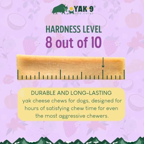 Yak Cheese Dog Chews with Turmeric for Hip & Joint Support | High Protein, Non Rawhide Dog Chews Long Lasting | Non GMO, Gluten Free, Grain Free | Medium (Breeds 15-30 lbs), 2 PC