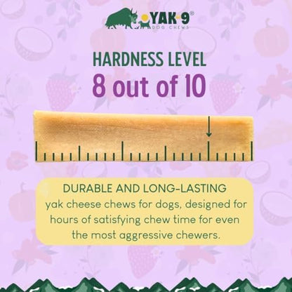 Yak Cheese Dog Chews with Turmeric for Hip & Joint Support | High Protein, Non Rawhide Dog Chews Long Lasting | Non GMO, Gluten Free, Grain Free | Medium (Breeds 15-30 lbs), 2 PC