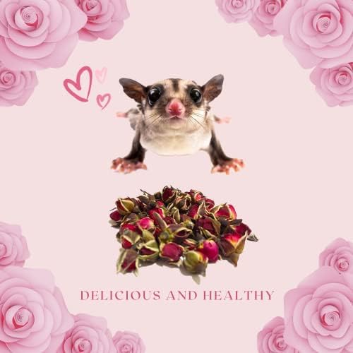 Edible Dried Rose - Made with Real Flower - Cage Decoration, Snacks and Food - for Sugar Glider, Rabbits, Guinea Pigs and Small Animal Pet (10g)