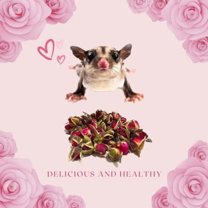 Edible Dried Rose - Made with Real Flower - Cage Decoration, Snacks and Food - for Sugar Glider, Rabbits, Guinea Pigs and Small Animal Pet (10g)