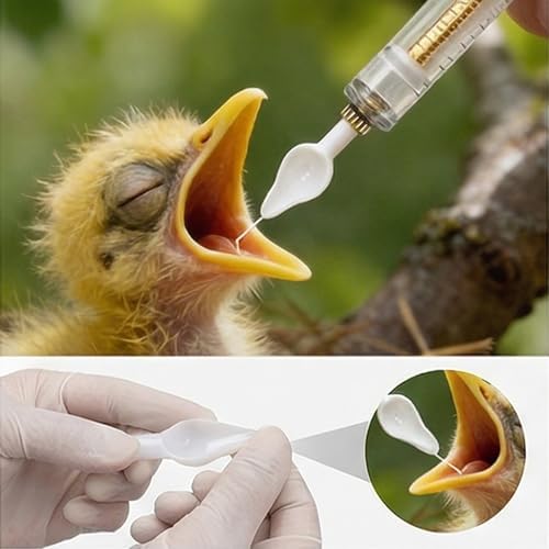 Baby Bird Feeding Syringe Set, Small Pet Parrot Feeding Tubes for Birds, Hand Feeding Tubes Kit Parrot Feeder Food Feeding & Watering Supplies for Small Pet Baby Birds (23 Pcs)
