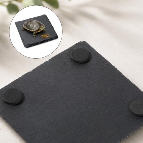 Turtle Slate Rock Reptiles Basking Platform