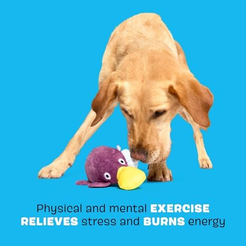 BarkBox Drongo Platypus Dog Toy - for Small to Medium Dogs