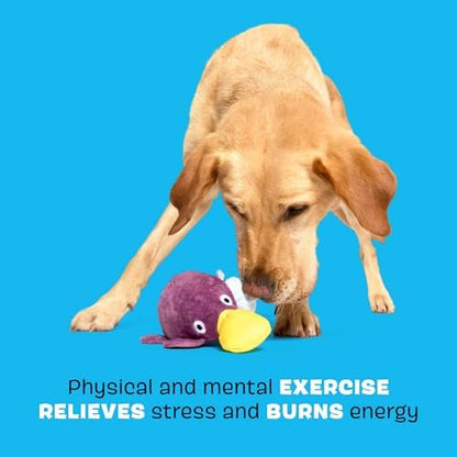 BarkBox Drongo Platypus Dog Toy - for Small to Medium Dogs