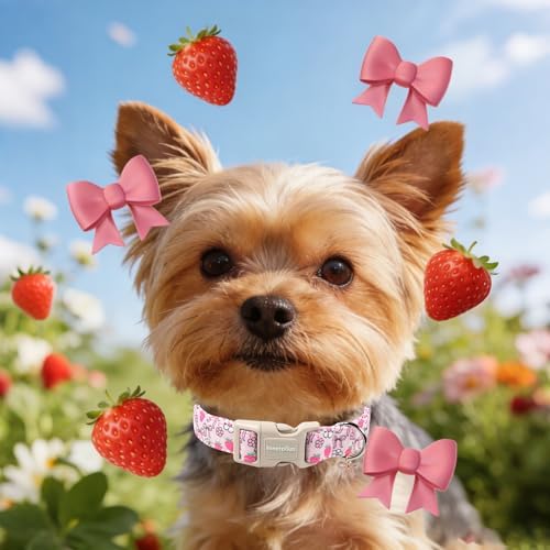 Lionet Paws Spring Dog Collar- Cute Strawberry Pink Dogs Collar with Plastic Buckle and Bowtie Pendant,Dog Collar for Small Medium Dogs