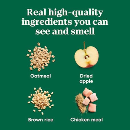 Nutro Crunchy Dog Treats with Real Apple, 10 oz
