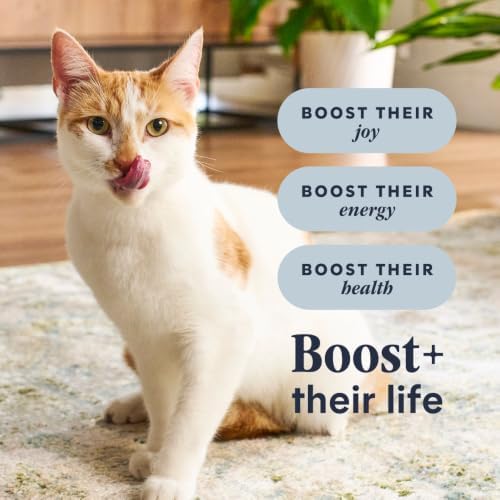 Instinct Raw Boost Indoor Health, Natural Dry Cat Food with Freeze Dried Pieces, Grain Free Recipe - Real Rabbit, 4.5 lb. Bag