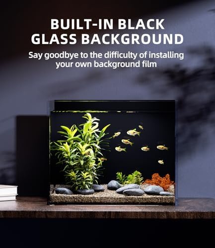 3 Gallon Glass Fish Tank Rimless with Black Background Rectangular Tank