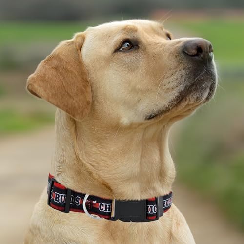 NEW & Improved Pets First NBA PET Collar Chicago Bulls Dog Collar, Size Large Basketball Team Collar for Dogs & Cats. A Shiny & Colorful Dog & Cat Collar Licensed by the NBA