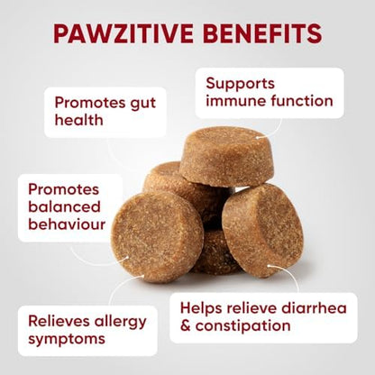 Probiotics for Dogs Digestive Health - Probiotic Chews for Gut Health, Itchy Skin Yeast, Diarrhea - USA Product - Immune Support Supplement - Dog Digestive Support & Allergy Relief Chews with Enzymes