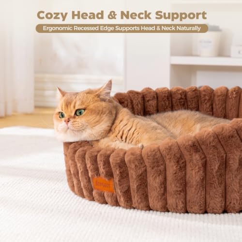 Avont Cat Bed for Indoor Cats, Fluffy Washable with Raised Rim