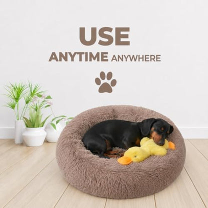 Whiskers & Friends Small Dog Bed, Fluffy Washable Puppy Bed for Small Dogs