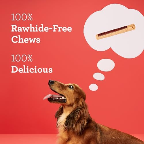 DreamBone DreamSticks with Real Chicken Chews for Dogs,These Easy-to-Digest Rawhide-Free Chews are a Dog’s Favorite Distraction,(Pack of 30)