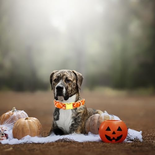Dog Collars, Fall Dog Collar Orange Plaid Print Pet Collar Durable Metal Collar Cute Girl Boy Dog Collars Adjustable Dog Collar for Large Dogs