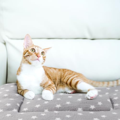 2 Pack Cat Blanket for Indoor Cats, Ultra Soft & Warm Calming Bed