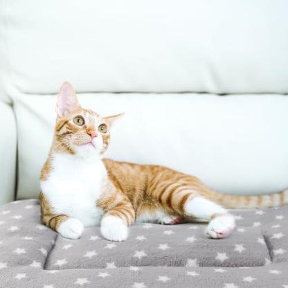 2 Pack Cat Blanket for Indoor Cats, Ultra Soft & Warm Calming Bed