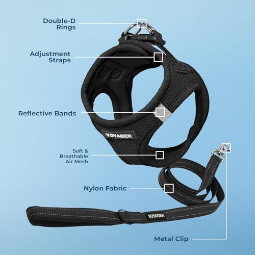 Best Pet Supplies Voyager Step-in Air All Weather Mesh Harness and Reflective Dog 5 ft Leash Combo with Neoprene Handle, for Small, Medium and Large Breed Puppies - Black, L
