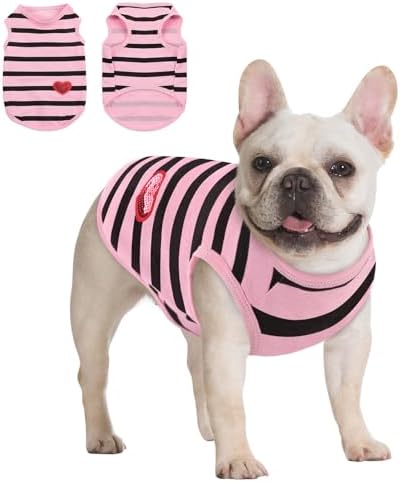 Queenmore Small Dog Shirt,Soft Breathable Dog Shirt for Dogs Cats Boy Girl,Pet Clothes for All Season,Breathable Lightweight Pet Tshirt for Frenchie, Dachshund, Yorkie