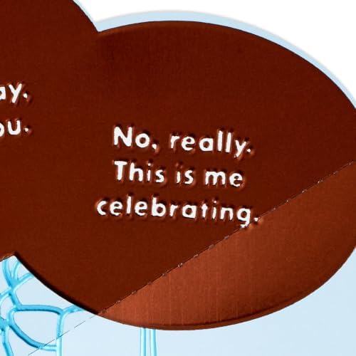 Hallmark Funny Birthday Card from Cat (This is Me Celebrating)