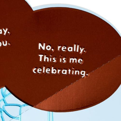 Hallmark Funny Birthday Card from Cat (This is Me Celebrating)