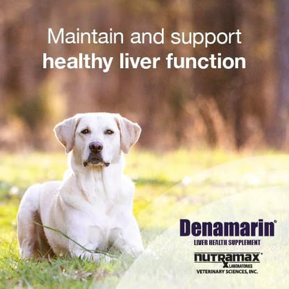 Nutramax Denamarin for Dogs, Liver Health Supplement with S-adenosylmethionine (SAMe) plus Silybin, Liver Support for Dogs, Chewable Tablets, 30 Count
