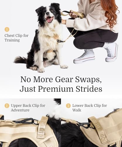 Fei & Eve Classic Dog Harness