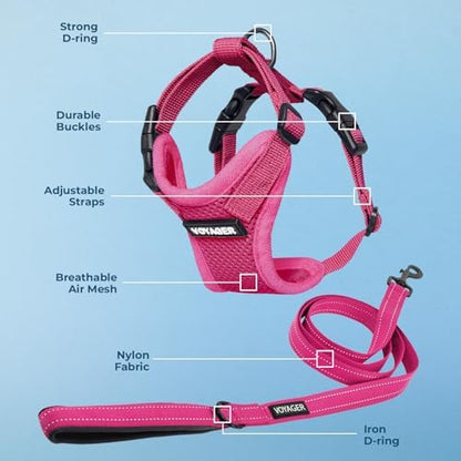 Best Pet Supplies Voyager Step-in Lock Pet Harness w Reflective Pet Leash Combo Set with Neoprene Handle 5ft - Supports Small, Medium and Large Breed Puppies/Cats - Fuchsia Set, M