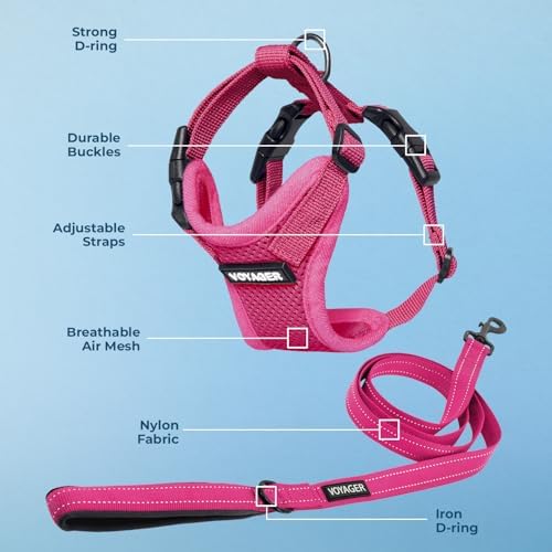 Best Pet Supplies Voyager Step-in Lock Pet Harness w Reflective Pet Leash Combo Set with Neoprene Handle 5ft - Supports Small, Medium and Large Breed Puppies/Cats - Fuchsia, S