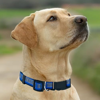 Pets First NBA PET Collar DALLAS MAVERICKS Dog Collar, Size Medium Basketball Team Collar for Dogs & Cats. A Shiny & Colorful Dog & Cat Collar Licensed by the NBA