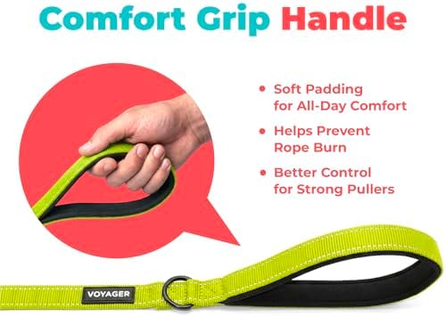 Best Pet Supplies Voyager Nylon Dog Leash - Lime Green, Medium