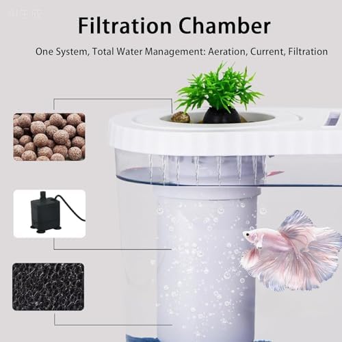 Betta Fish Tank Kit, 2 Gallon Small Aquarium Starter Kit with Quiet Filter, LED Light, Lid & Decorations, Nano Desktop Aquarium for Betta Fish, Shrimp, Guppy and Small Tropical Fish