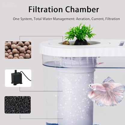 Betta Fish Tank Kit, 2 Gallon Small Aquarium Starter Kit with Quiet Filter, LED Light, Lid & Decorations, Nano Desktop Aquarium for Betta Fish, Shrimp, Guppy and Small Tropical Fish