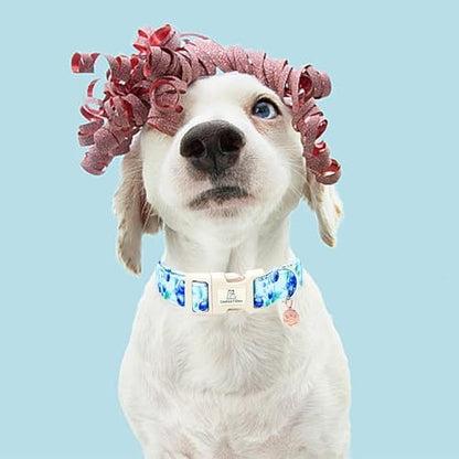 Lionheart glory Dog Collar Blueberries Print Collar for Large Dogs Spring Summer Female or Male Collars Pets Gift Adjustable Heavy-Duty Cute Pet Collars
