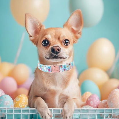 Easter Dog Collar, Cute Blue Bunny Easter Collar for Boy Girl Dogs, Adjustable Heavy Duty Spring Holiday Dog Collars for Small Medium Large Dogs with Metal Buckle S